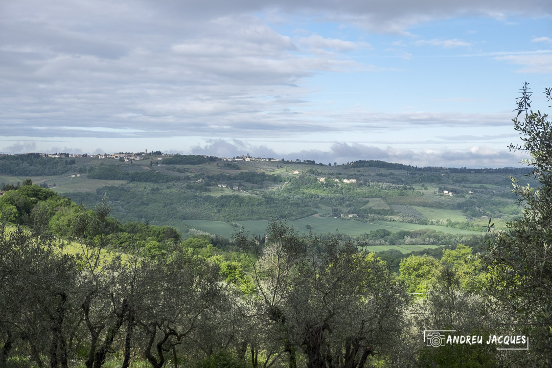 Toscane 2014 112.jpg